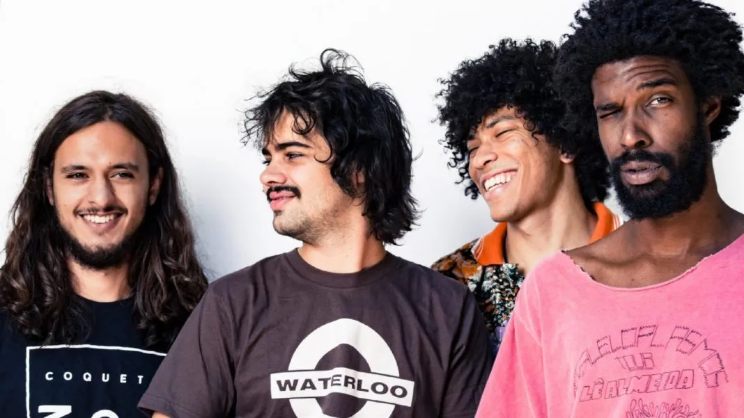Boogarins picture