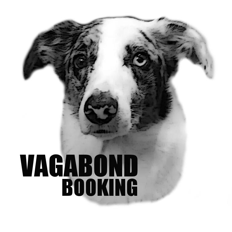 Cute dog looking at you that is the Vagabond Booking logo