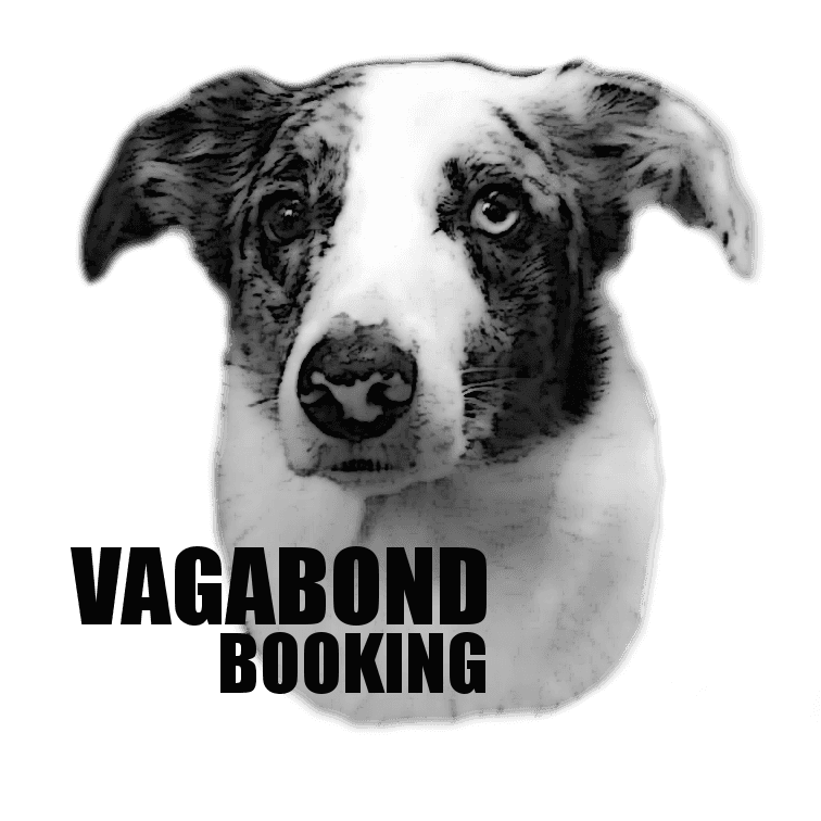 Cute dog looking at you that is the Vagabond Booking logo